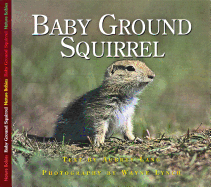 Baby Ground Squirrel