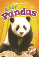 Baby Pandas