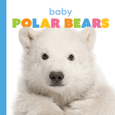 Baby Polar Bears - Riggs, Kate