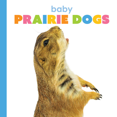 Baby Prairie Dogs - Thompson, Kim