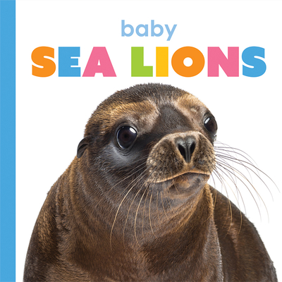 Baby Sea Lions - Riggs, Kate