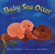 Baby Sea Otter