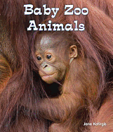 Baby Zoo Animals