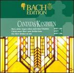 Bach: Cantatas BWV 102, 7 & 196