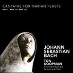 Bach: Cantatas for Marian Feasts