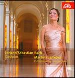 Bach: Cantatas