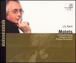 Bach: Motets - Agn�s Mellon (soprano); Andr� Berkvens (tenor); Annelies Coene (soprano); Betty Van Den Berghe (alto); Bouke Lettinga (alto);...