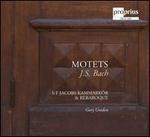 Bach: Motets
