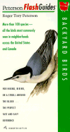 Backyard Birds