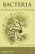 Bacteria: The Benign, the Bad, and the Beautiful
