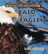 Bald Eagles