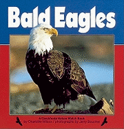 Bald Eagles