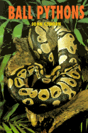Ball Pythons