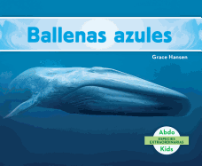 Ballenas Azules (Blue Whales )