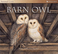 Barn Owl