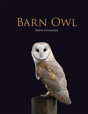 Barn Owl - Chandler, David