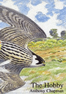 Barn Owl - Shawyer, Colin R., and Powell, Dan (Illustrator)