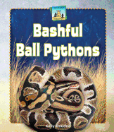 Bashful Ball Pythons