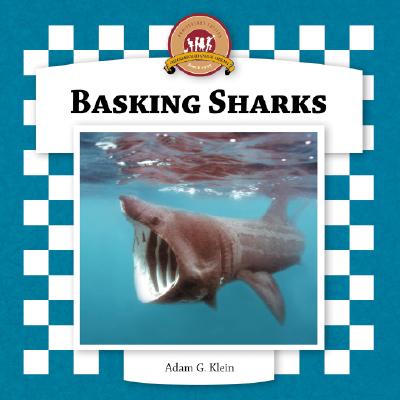 Basking Sharks - Klein, Adam G