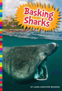 Basking Sharks