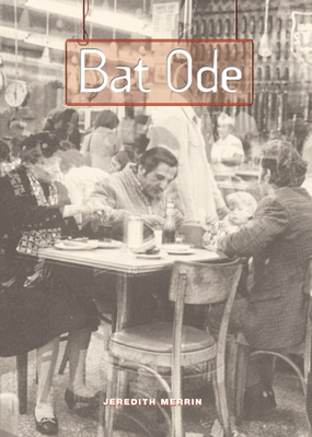 Bat Ode - Merrin, Jeredith