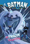 Batman My Frozen Valentine