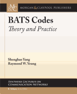 Bats Codes: Theory and Practice