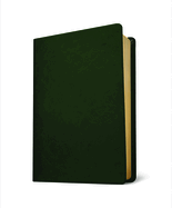 Baylor Annotated Study Bible: New Revised Standart Version