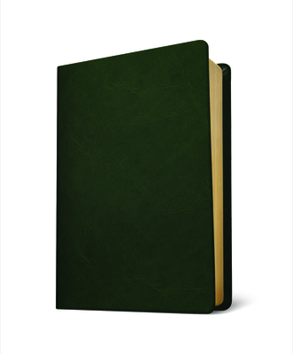 Baylor Annotated Study Bible: New Revised Standart Version - Bellinger, W H, Jr. (Editor), and Still, Todd D (Editor)