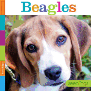 Beagles