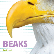 Beaks