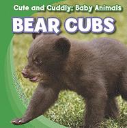 Bear Cubs