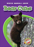 Bear Cubs