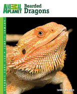 Bearded Dragons