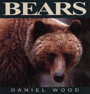 Bears