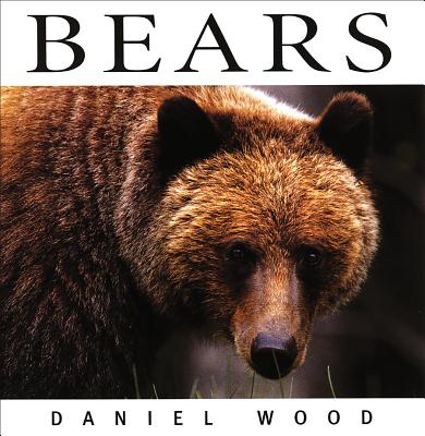 Bears - Wood, Daniel