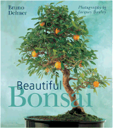 Beautiful Bonsai
