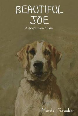 Beautiful Joe: A Dog's Own Story - Saunders, Marshall