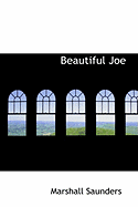 Beautiful Joe