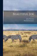 Beautiful Joe