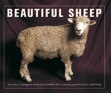 Beautiful Sheep