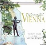 Beautiful Vienna