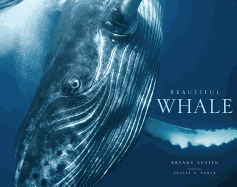 Beautiful Whale