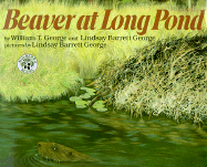 Beaver at Long Pond