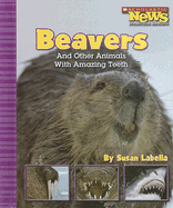 Beavers and Other Animals with Amazing Teeth