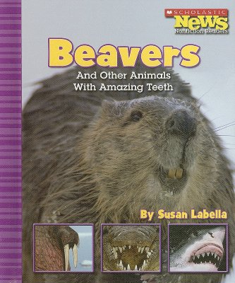 Beavers and Other Animals with Amazing Teeth - Labella, Susan