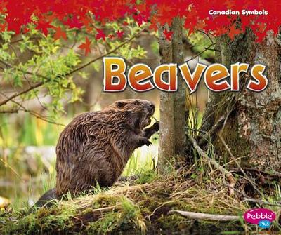 Beavers - Crewe, Sabrina