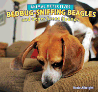Bedbug-Sniffing Beagles and Other Scent Hounds