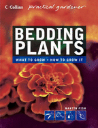 Bedding Plants - Fish, Martin