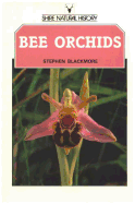 Bee Orchids